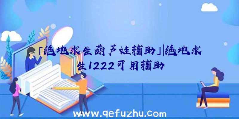 「绝地求生葫芦娃辅助」|绝地求生1222可用辅助